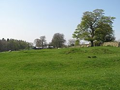 (The site of) Milecastle 51 (Wall Bowers) - geograph.org.uk - 1354753.jpg