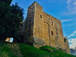 19. Castillo cartuja Vallparadís