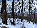 Appalachian Trail Blaze En Route to Hawksbill Summit