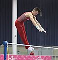 Austrian Future Cup 2018-11-24 Group 3 Rotation 6 Horizontal bar (Martin Rulsch) 171