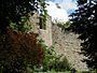 Barnwell Castle1.jpg