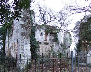 Betchworth Castle (Ruins of) - geograph.org.uk - 106259