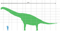 Brachiosaurus scale