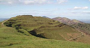 British camp central mound 2005 (cropped)