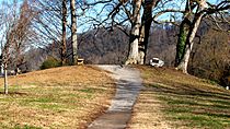 Cherokee-boulevard-mound-tn1