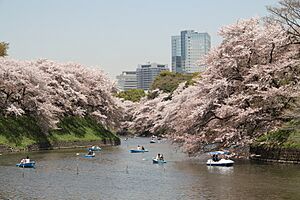 Chidorigafuchi in 2011 (1)