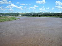 Cornwallis River near high tide