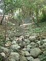 Creek bed orcutt