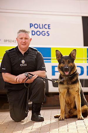 Facts about sales k9 dogs