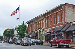 DowntownChelseaMI
