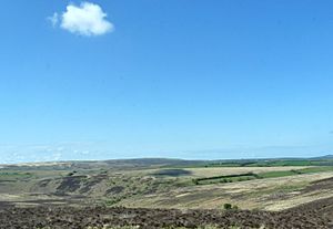 Exmoor 08 (4652817476)