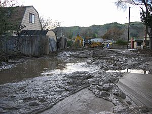 FEMA - 12453 - Photograph by John Shea taken on 01-15-2005 in California