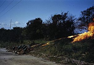 Flamethrowers in Action, August 1944 TR2318