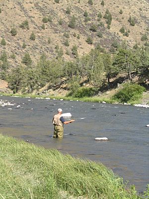 Fly fisher crooked river