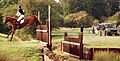 Foxpitt3