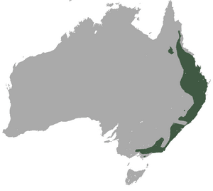 Greater Glider area.png