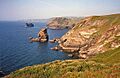 Grower Rock - geograph.org.uk - 1378404