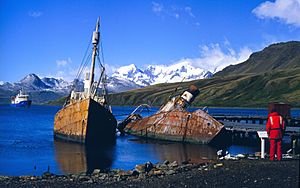 Grytviken WhalingBoats NOAA