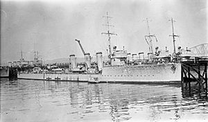 HMS Paladin (1916) IWM SP 1403