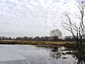 Hopton Fen, Suffolk - geograph.org.uk - 94571