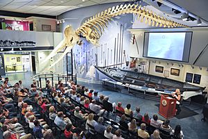 Inside Whaling Museum during Lecture .jpg