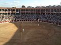 Interior Plaza de Toros El Bibio