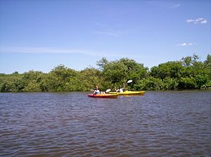 Kayakers on the Kalamazoo River