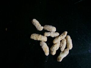 Kidyo