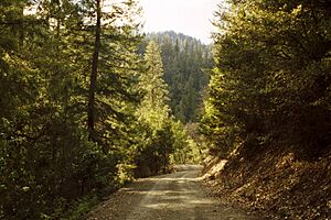 Klamath National Forest-16N05 March 05