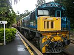 Kuranda Scenic Railway Cairns.JPG