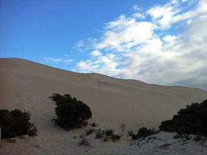 Lincoln NP Dunes