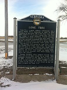 Lone tree Nebraska State Historical Marker-12-26-12