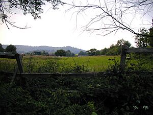 Looking across farmland to Steep Farm and Wheatham Hill - geograph.org.uk - 463195