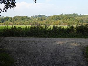 Looking across field from track junction - Titnore Wood geograph-4684926-by-Shazz