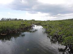 LucayanNationalParkWater