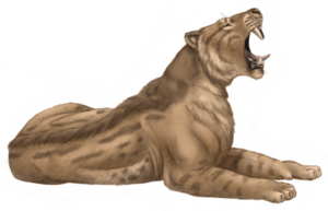 Machairodus from Cerro de Batallones