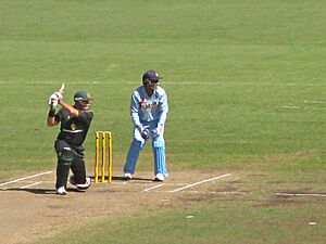 Matthew Hayden (2307390126)