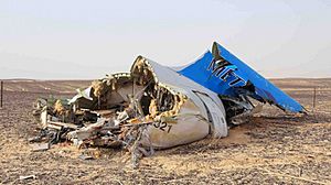 Metrojet 9268 tail section wreckage