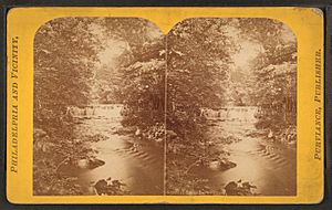 Mill Dam, Darby Creek, by Purviance, W. T. (William T.)