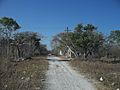 Misnebalam, Yucatán (11)