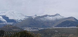 Montes de Jaén.jpg