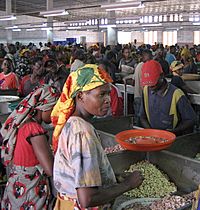 Mozambique cashew processing plant