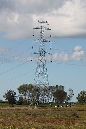 NIGU tower near Morrinsville