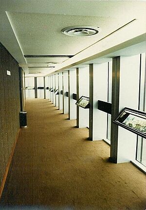 National Westminster Tower level 42 viewing gallery