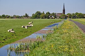 Netherlands, Zoeterwoude - Zuidbuurt (3), Westbroekpolder