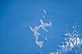 New Island 2 - Falkland Islands