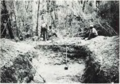 Ocala National Forest Midden No. 2 during excavation