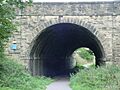 Old Railway Tunnel - geograph.org.uk - 54659