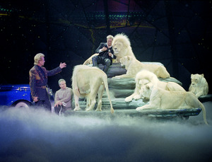 Performance by the illusionists Siegfried & Roy prior to Roy's nearly fatal mauling by one of the show's tigers onstage. Las Vegas, Nevada LCCN2011635782