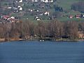 Pfäffikersee - Auslikon IMG 3464